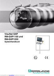Pepperl+Fuchs VisuNet GXP RM-GXP1200 Systemhandbuch