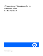 HP Smart Array P700m Benutzerhandbuch