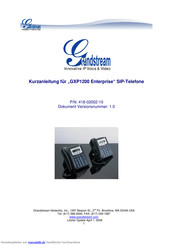 Grandstream Networks GXP-1200 enterprise Kurzanleitung