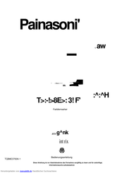 Panasonic TX-28EX3F Bedienungsanleitung
