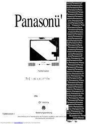Panasonic TX-25CK1M Bedienungsanleitung