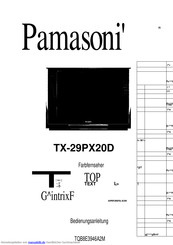 Panasonic TX-29PX20D Bedienungsanleitung