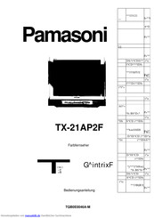 Panasonic TX-21AP2F Bedienungsanleitung