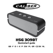 Caliber HSG 310BT Schnellanleitung