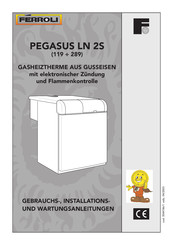 Ferroli Pegasus 153 LN 2S Gebrauchs-, Installations- Und Wartungsanleitungen