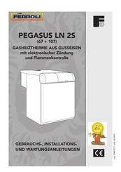 Ferroli Pegasus 107 LN 2S Gebrauchs-, Installations- Und Wartungsanleitungen