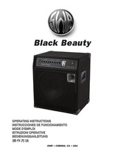 SWR Black Beauty Bedienungsanleitung