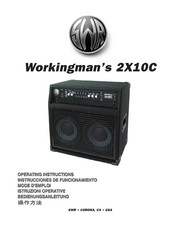 SWR Workingman's 2X10C Bedienungsanleitung