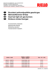 Riello 619 M Montage- Und Bedienungsanleitung