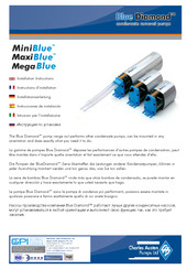 Blue Diamond Pumps Maxi Blue Installationsanleitung