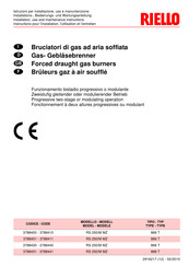 Riello RS 250/M MZ Installations-, Bedienungs- Und Wartungsanleitung