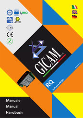 Gicam RQ Installations- Und Bedienungsanleitung