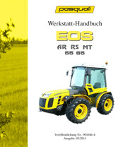Pasquali EOS 55 MT Werkstatt-Handbuch