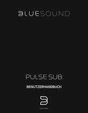 Bluesound Pulse Sub Benutzerhandbuch