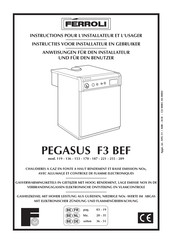 Ferroli PEGASUS F3 BEF Anweisungen Für Den Installateur Und Für Den Benutzer