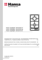 Hansa PGA2.1ZpZtBpR Bedienungsanleitung