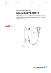 Endress+Hauser FMD72 Betriebsanleitung