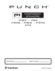 Rockford Fosgate PUNCH P1675-S Handbuch