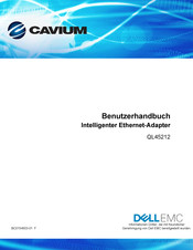Cavium QL45212 Benutzerhandbuch