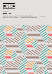 BESOA Volos T50 Montageanleitung