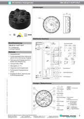 Pepperl+Fuchs VBA-2E-G11-I/U/PT100-F Handbuch