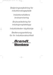 Brandt Blomberg HFR 65 Bedienungsanleitung
