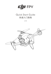 DJI FPV Schnellstartanleitung