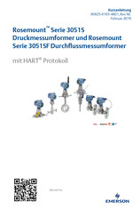 Emerson Rosemount 3051S ERS Kurzanleitung