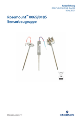 Emerson Rosemount 0185 Kurzanleitung