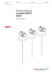 Endress+Hauser Levelflex FMP55 Betriebsanleitung