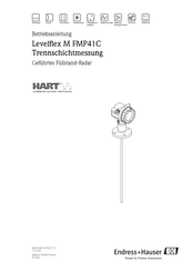 Endress+Hauser Levelflex M FMP41C Betriebsanleitung