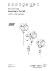 Endress+Hauser Levelflex M FMP43 PROFIBUS PA Betriebsanleitung
