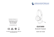 Grandstream GUV3050 Kurzanleitung