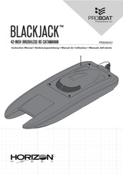 Horizon Hobby ProBoat BLACK JACK Bedienungsanleitung