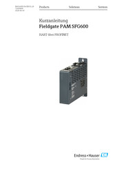 Endress+Hauser Fieldgate PAM SFG600 Kurzanleitung
