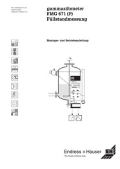 Endress+Hauser gammasilometer FMG 671 P Montage- Und Betriebsanleitung