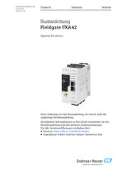 Endress+Hauser Fieldgate FXA42 Kurzanleitung