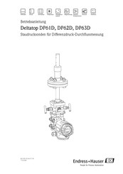 Endress+Hauser Deltatop DP62D Betriebsanleitung
