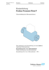 Endress+Hauser Proline Prosonic Flow P Kurzanleitung