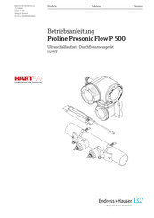 Endress+Hauser Proline Prosonic Flow P 500 Betriebsanleitung