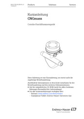 Endress+Hauser CNGmass Kurzanleitung