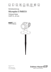 Endress+Hauser Micropilot S FMR531 Betriebsanleitung