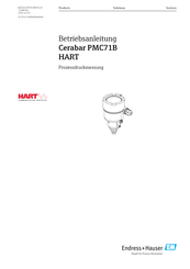 Endress+Hauser Cerabar PMC71B Betriebsanleitung