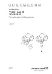 Endress+Hauser Proline t-mass 65 PROFIBUS DP Betriebsanleitung