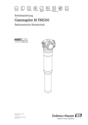 Endress+Hauser Gammapilot M FMG60 Betriebsanleitung
