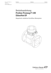 Endress+Hauser Proline Promag H 100 Betriebsanleitung