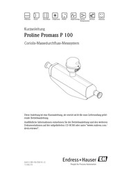 Endress+Hauser Proline Promag P 100 Kurzanleitung