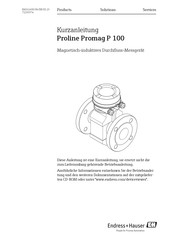 Endress+Hauser Proline Promag P 100 Kurzanleitung