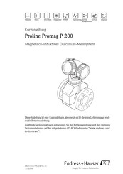 Endress+Hauser Proline Promag P 200 Kurzanleitung