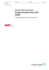 Endress+Hauser Proline Prosonic Flow 300 HART Anleitung